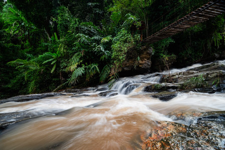 Waterfall in deep forest at Phu Soi Dao National Park, Thailandの写真素材
