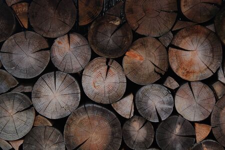 A pile of dry fire woodの写真素材