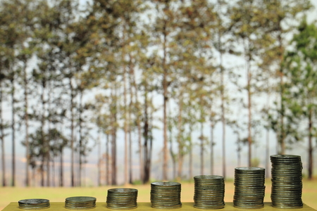 green and environmental funding. saving coin tower amount to an increasing chart graph on out of focus green park environment background with sun beam.の写真素材