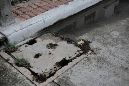 dirt filled concrete grating on a manhole gutter cover. bad condition infrastructure with weed growing on. catch basin on concrete road.の写真素材
