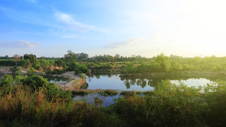 disturbed wetland. natural pond with dirt road construction as a dike for agriculture activities....