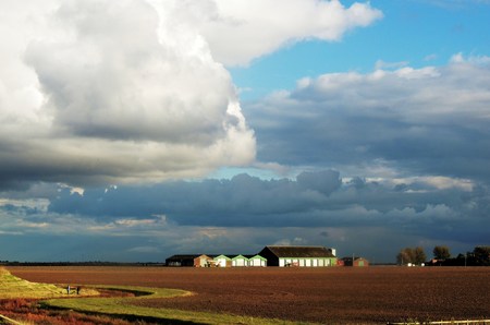 Farmland Wallasea Islandの写真素材