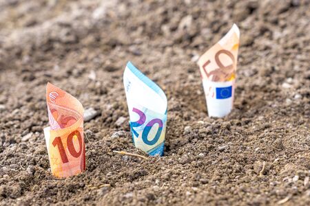 Euro money notes plant in garden earthの写真素材