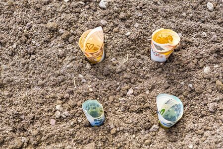 Euro money notes plant in garden earthの写真素材