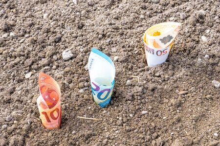 Euro money notes plant in garden earthの写真素材