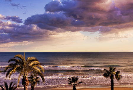 Last rays of the sun catch the threatening clouds and palm trees by the sea shore