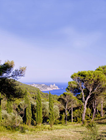 The beautiful Costa Brave can been seen across the fields aboveの写真素材