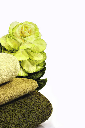 Ornamental cabbage or Kale takes a place in health centresの写真素材