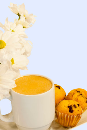 Vertical Image of a Cup of Milky Coffee with Choc Chip Muffins and White Daisies All Against a Blue Backgroundの写真素材