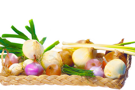 Assorted Salad Spring Onions to Robust Cooking Onesの写真素材