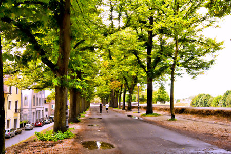 Walled Town of Lucca with the Road on the Massive Ramparts that Attracts Local Runners.の写真素材
