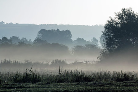 Early morning mist across meadow at Arundel, West Sussexの写真素材
