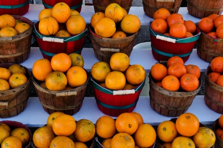 Honeybell Oranges on display in baskets at an outdoor fruit standの写真素材