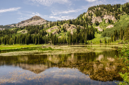 Beautiful lake and reflection in the Wasatch Mountains in Utah