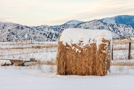 Big bale of hay with a mountain background on a winter dayの写真素材