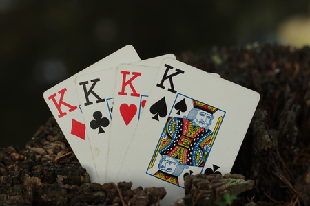 four kings close up verticalの写真素材