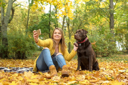 A beautiful young blond-haired woman is having fun with her big brown labrador dog in the park, in a pile of autumnal fallen leavesの写真素材