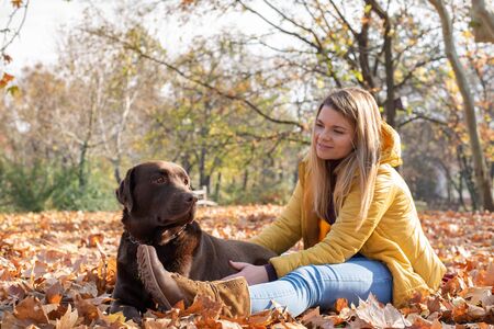 A beautiful young blond-haired woman is having fun with her big brown labrador dog in the park, in a pile of autumnal fallen leavesの写真素材