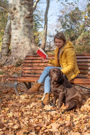 A beautiful young blond-haired woman is having fun with her big brown labrador dog in the park, in a pile of autumnal fallen leavesの写真素材