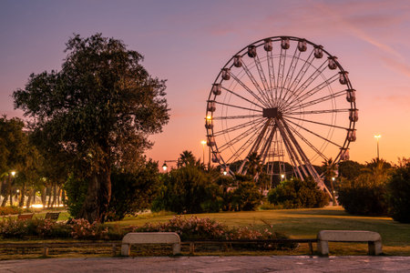 Ferris wheel at the Park Giardinetti at night, Olbia, Sardinia, Italy