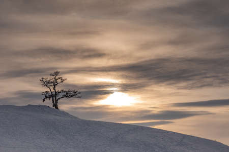 Tree of desires on the cape Burhan of Olkhon Island on Lake Baikal, Russiaの写真素材