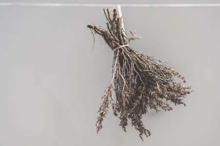 A bunch of dried rosemary.