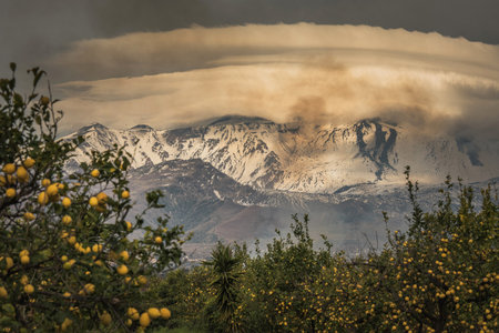 Lemon trees in Sicily and the snowy, smoky Etna volcanoの写真素材