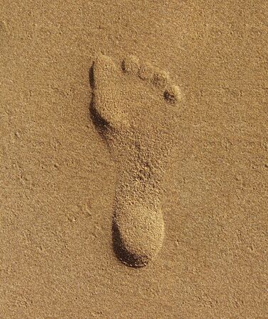 Footstep on sand at the beach in summerの写真素材