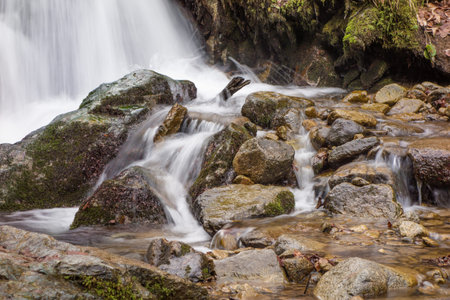 Waterfall in nature