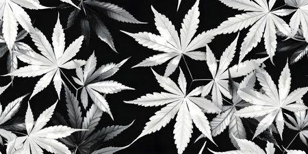 Black and white leaves backgroundの素材