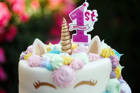 Cake with a unicorn for 1 birthday, a children's holiday in nature. Close-upの写真素材