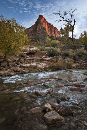 Zion National Park The Watchmannの写真素材