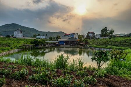 typical Vietnamese landscape in spring with green vegetation green teaの写真素材