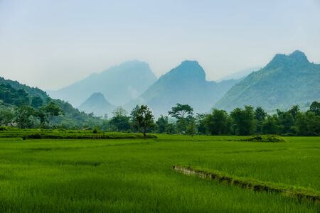 typical Vietnamese landscape in spring with green vegetationの写真素材