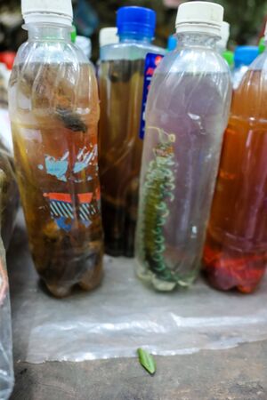 typical Vietnamese food and regional healthy dishesの写真素材