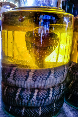 typical Vietnamese food and regional healthy dishes with snake cobra