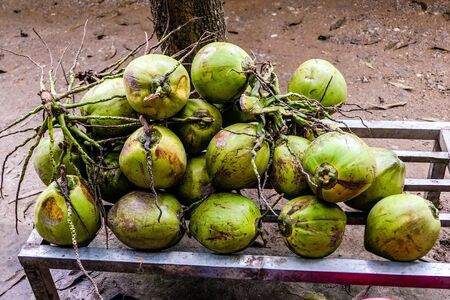 typical Vietnamese food and regional healthy dishesの写真素材