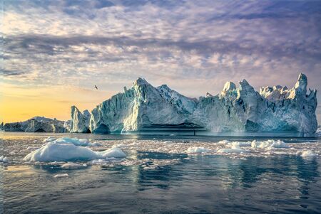 Greenland Ilulissat glaciers at ocean at polar night with birdの写真素材