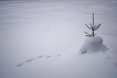 beautiful snowy landscape with valleys, lakes and rivers