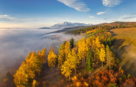 beautiful landscape with valleys, lakes and rivers in High Tatrasの写真素材