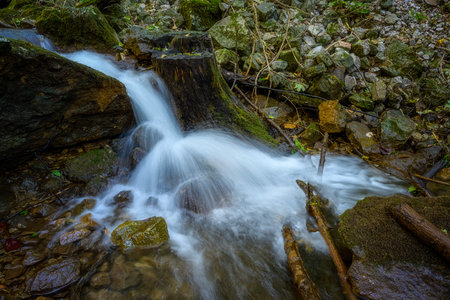 zadielska valley with a picturesque stream and green vegetation