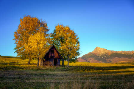 small haystack with two trees and Krivan hill in the backgroundの写真素材