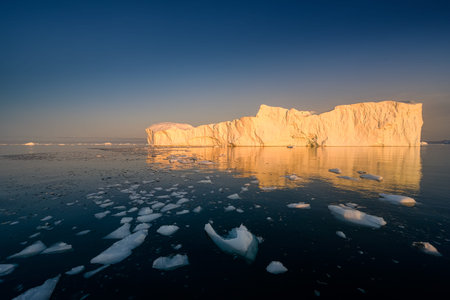 floating glaciers in the rays of the setting sun at polar night