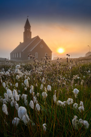 Greenland Ilulissat Zion Church in sunset with flowersの写真素材