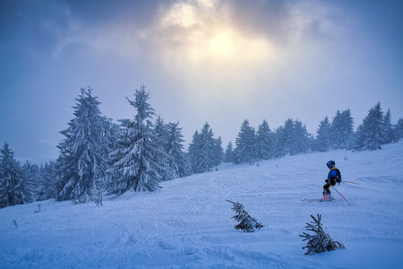 frozen trees with snow virgin nature winter still life with little skier