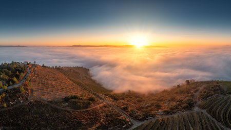 Hilltop in mist at sunriseの写真素材