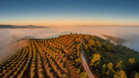 hilltop chapel in mist at sunriseの写真素材