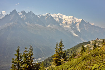 view of the Mont Blanc massif in autumn from La Bolmeの写真素材