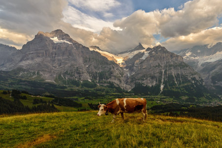view of the Eiger Jungfrau massif in autumn from Grindelwaldの写真素材