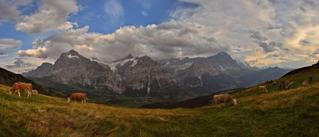 view of the Eiger Jungfrau massif in autumn from Grindelwaldの写真素材
